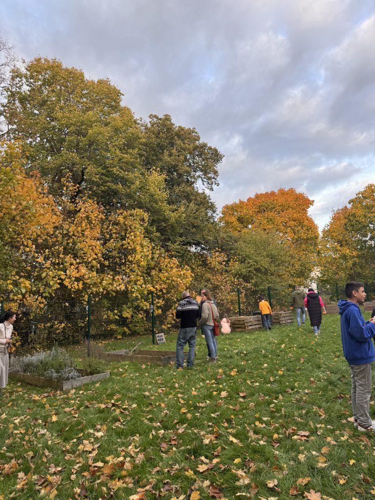 Menschen im Schulgarten bei einer Pflanzaktion