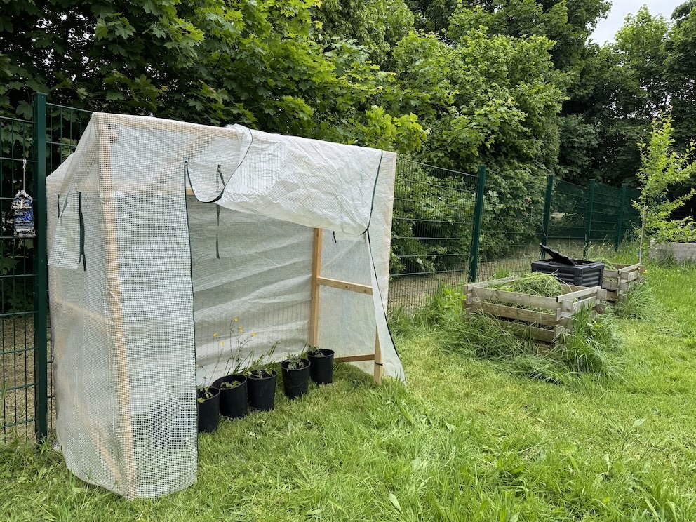 Neue Tomatenhaus im Schulgarten